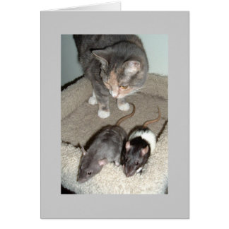 Cartão juntos podemos