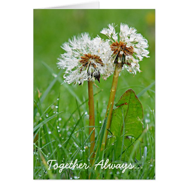 Cartão Juntos. Sempre... (Frente)