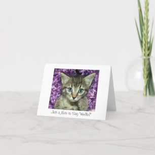 Cartão Just a Note to Say "Hello!" Gray Kitten