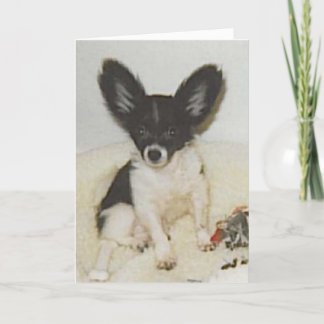 Cartão Just as cute as ever - bday