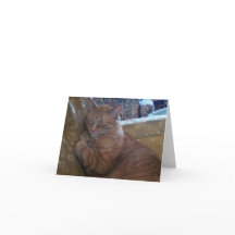 Just Chillin' Note Card