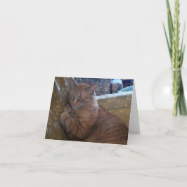 Cartão Just Chillin' Note Card