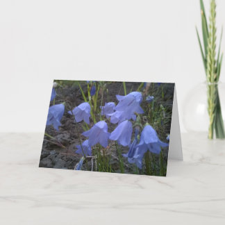 Cartão Just Feeling Blue Today   Greeting Card