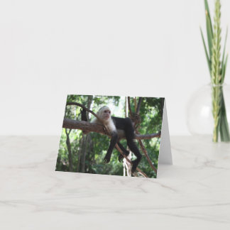 Cartão Just Hanging Around Notecard