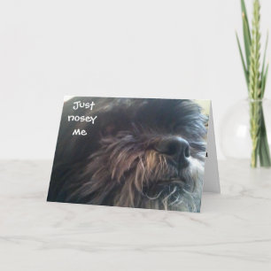 Cartão JUST NOSEY ME - 40th BIRTHDAY CARD