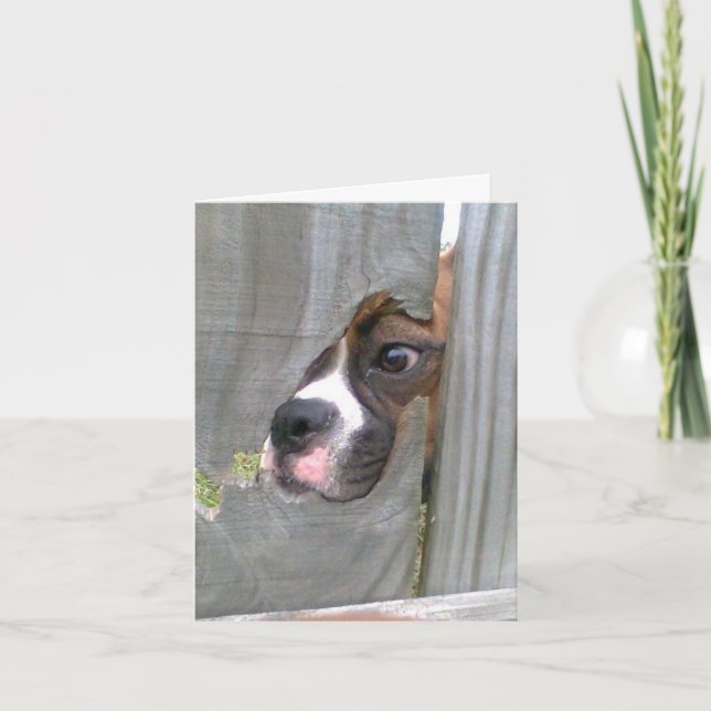 Cartão Just Peeking In (Frente)