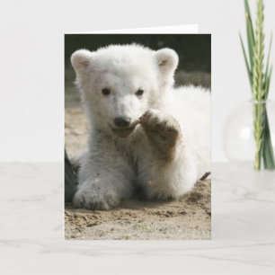 Cartão Just to say Hi