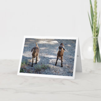 Cartão Just you and me kid!