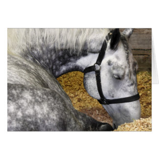 Cartão justo do cavalo 5x7 de Puyallup