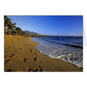 Cartão Kaanapali Beach, Maui, Havaí, EUA