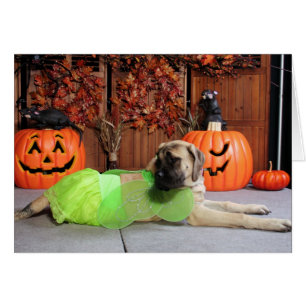Cartão Kahlua - Mastiff inglês - Phiathep