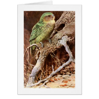 Cartão Kakapo