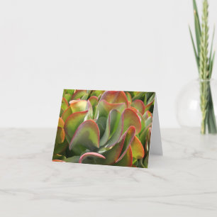Cartão Kalanchoe notecard