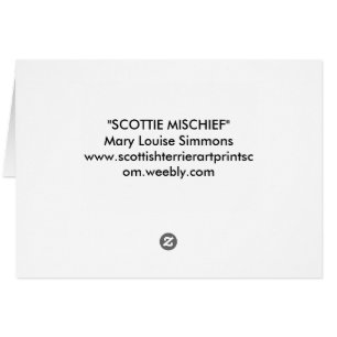 CARTÃO KALEIDOSCOPE SCOPE SCOTTS