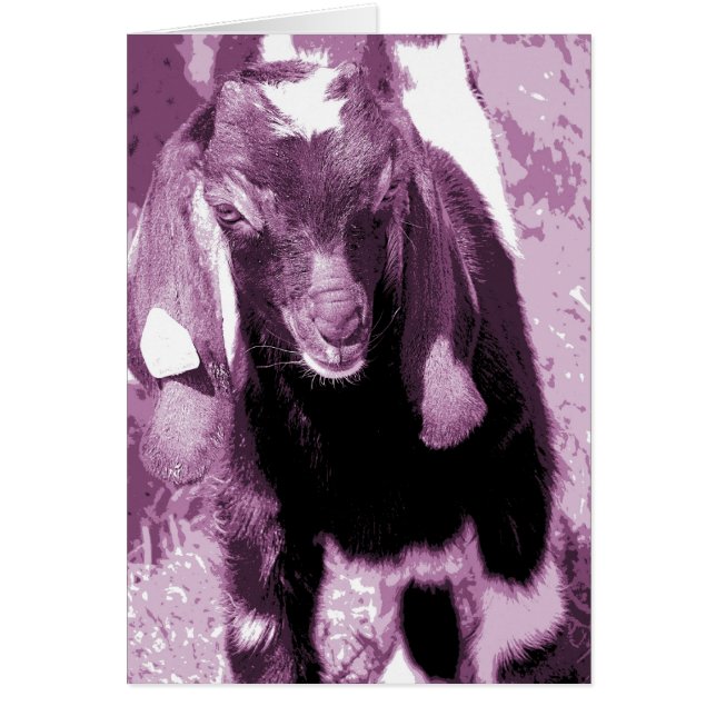 Cartão Kalvin em Roxo (Frente)