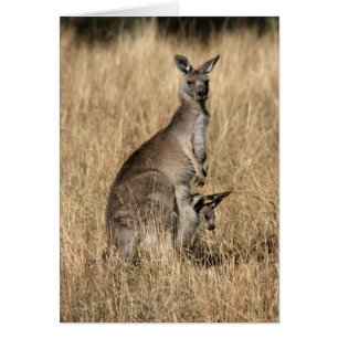 Cartão Kangaroo com Bebê Joey em Pouch