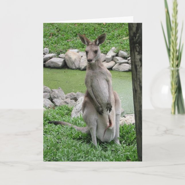 Cartão Kangaroo com Joey Birthday Card (Frente)