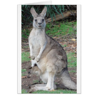 Cartão Kangaroo e Joey
