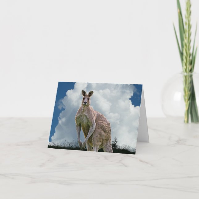 Cartão Kangaroo Notecard (Frente)