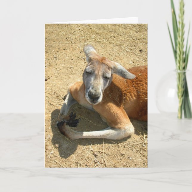 Cartão kangaroo praying (Frente)