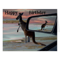 Kangaroo Seaside Breezes