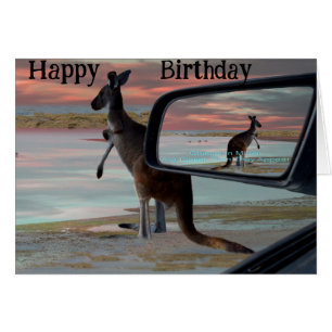 Cartão Kangaroo Seeft Breezes Illusion Art,