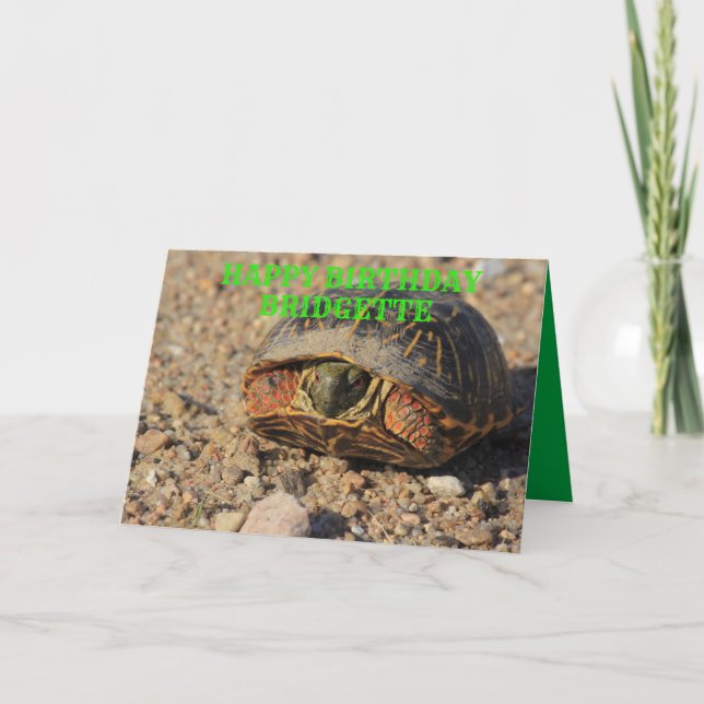 Cartão Kansas Box Shell Turtle Birthday Greeting Card (Frente)