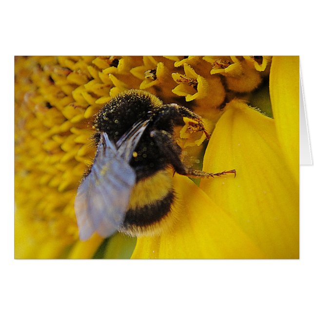 Cartão Karte fleissige Hummel: Tenha um dia ensolarado (Frente Horizontal)
