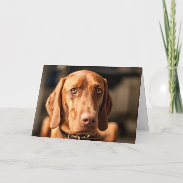 Cartão Karte mit Motiv "Magyar Vizsla" (Frente)