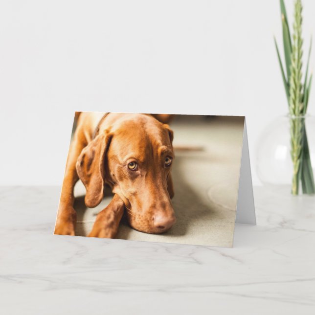 Cartão Karte mit Motive "Magyar Vizsla" (Frente)