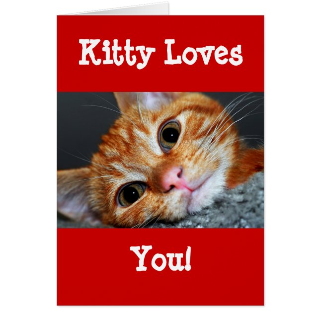 Cartão Kat gatinho (Frente)