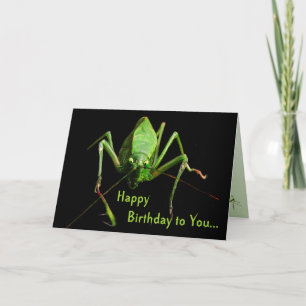 Cartão Katydid Birthday