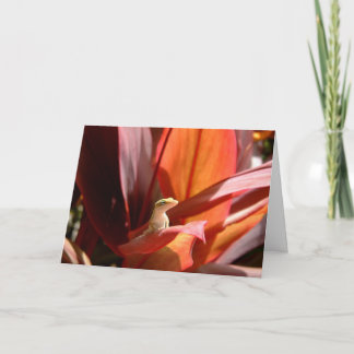 Cartão Kauai Lizard