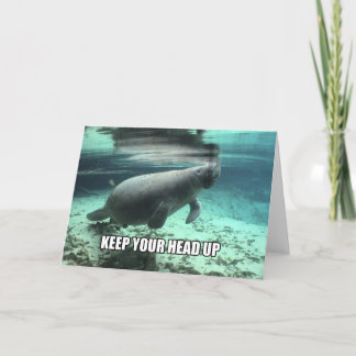 Cartão "Keep Your Head Up" Calming Manatee Greeting Card