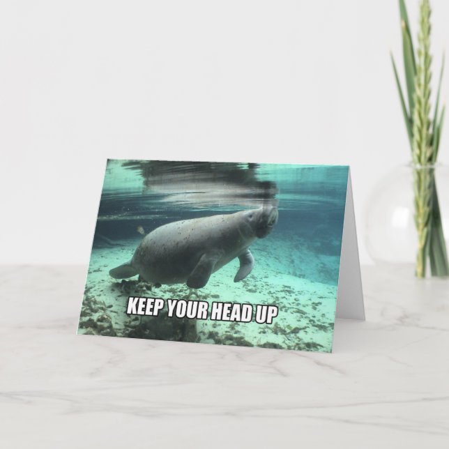 Cartão "Keep Your Head Up" Calming Manatee Greeting Card (Frente)