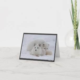 Cartão Keeping Warm