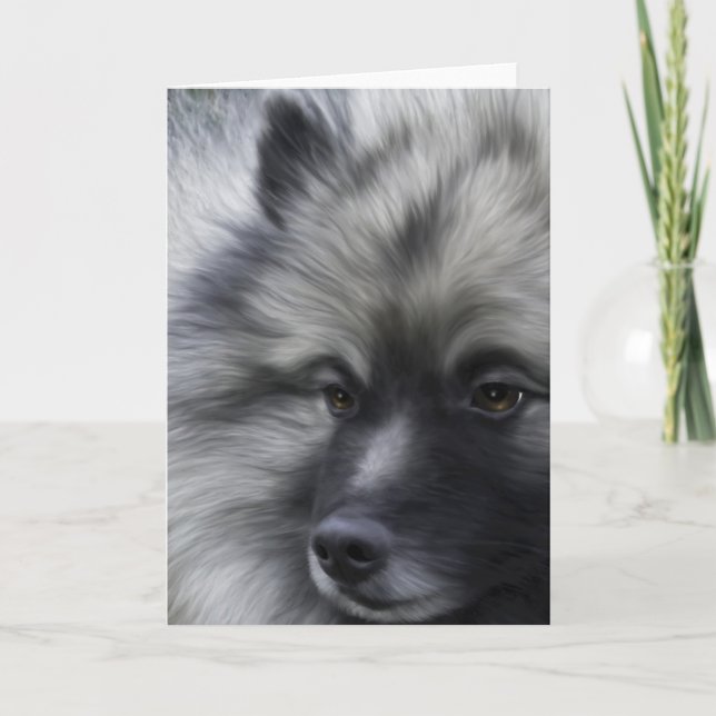 Cartão Keeshond any occasion greeting card (Frente)