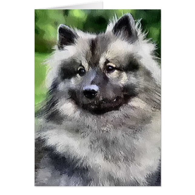 Cartão Keeshond Art Gifts (Frente)