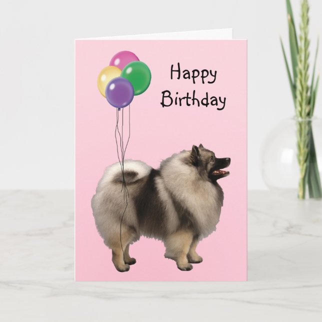 Cartão Keeshond, Birthday Balloons (Frente)