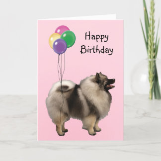 Cartão Keeshond, Birthday Balloons