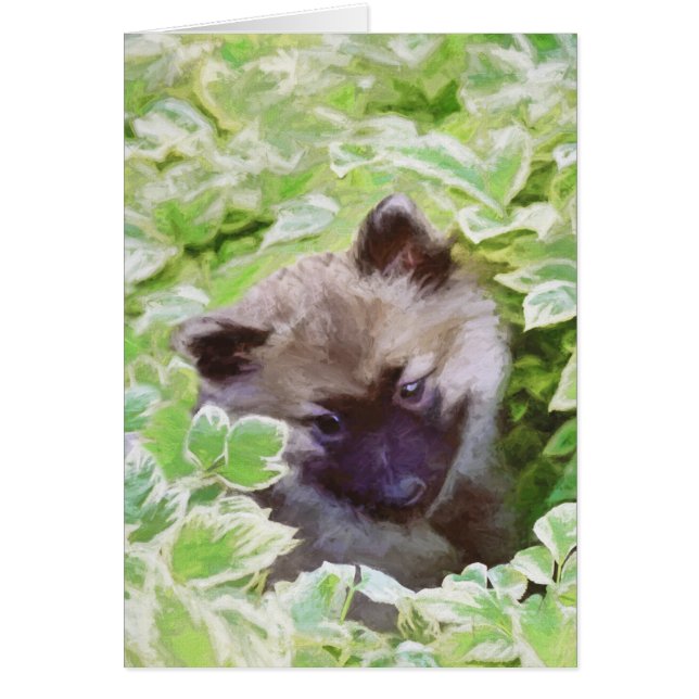 Cartão Keeshond Puppy na Pintura Original (Frente)