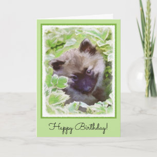 Cartão Keeshond Puppy na Pintura Original