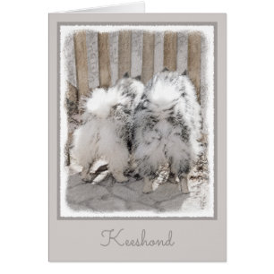 Cartão Keeshonds na Pintura de Portão - Arte de Cachorro