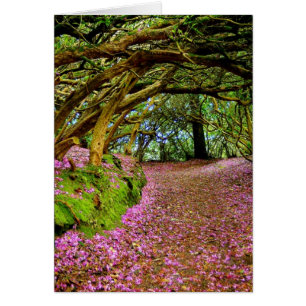 Cartão Kenmare Ireland