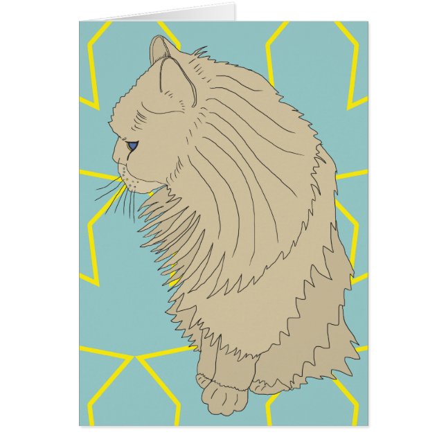 Cartão Kenzo, o gato real (Frente)