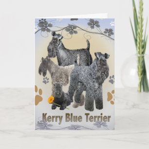 Cartão Kerry Blue Terrier Cards