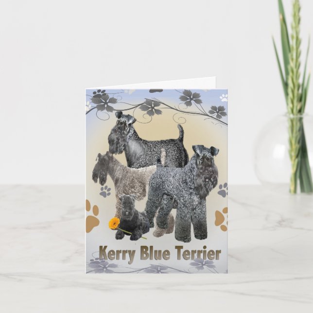 Cartão Kerry Blue Terrier Greeting cards (Frente)