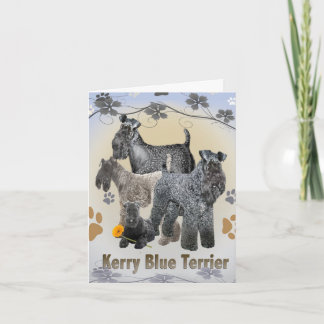 Cartão Kerry Blue Terrier Greeting cards