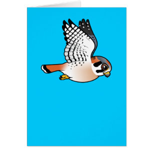 Cartão Kestrel americano em vôo