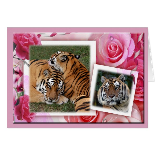 Cartão Khan-00100-65x45 (Frente Horizontal)